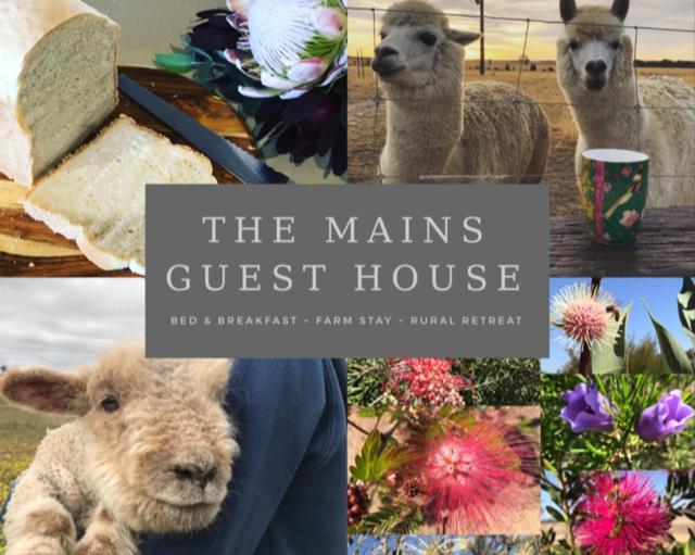 The Mains Guest House 2 Bedroom Farm Stay Corrigin Dış mekan fotoğraf